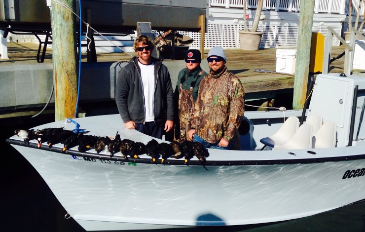 Sea Duck Season Opening Saturday