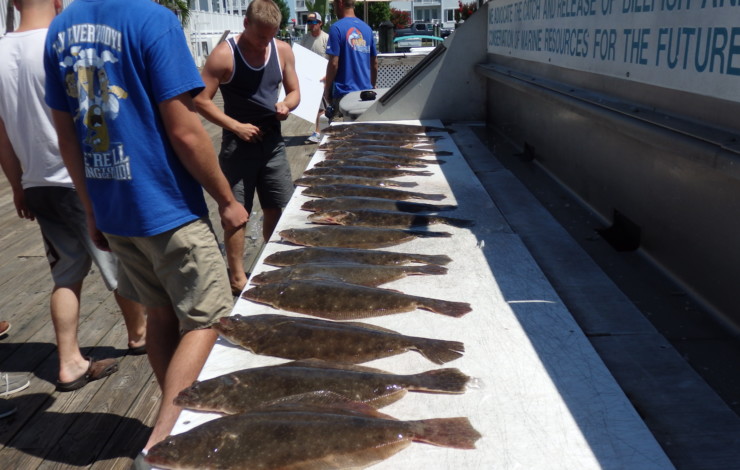 Flounder Season in Ocean City