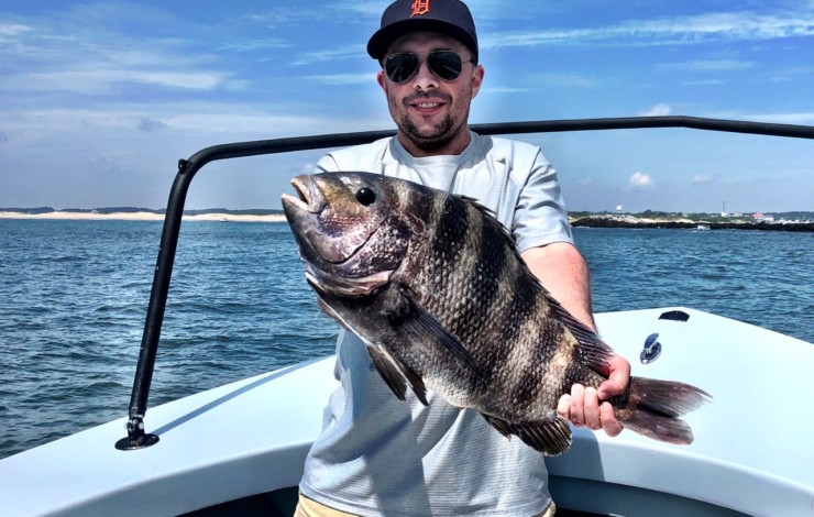 Flounders Sharks Sheepshead