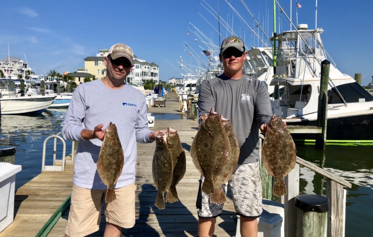 Flounders and Sharks for all ages! Check out this weeks report...